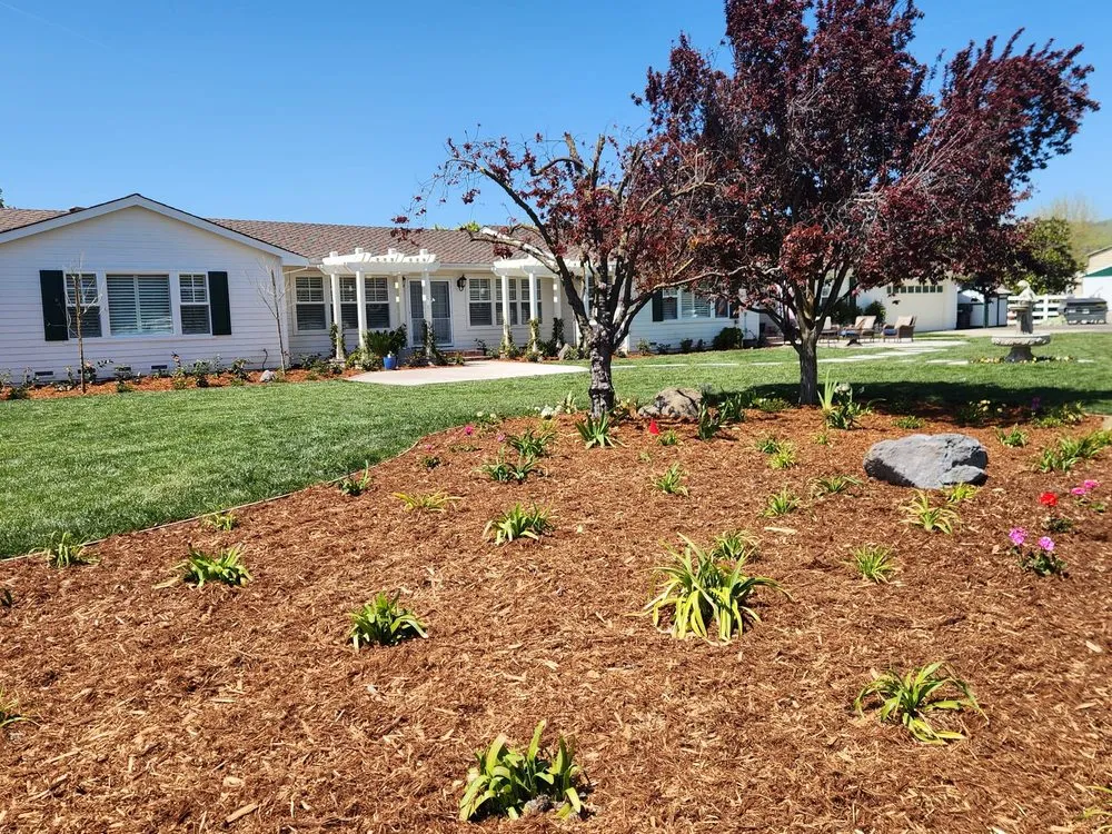 Top-rated yard maintenance in Antioch, CA - Tino´s Landscape & Garden