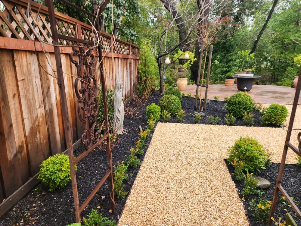 Local yard maintenance for homes across Antioch, CA - Tino´s Landscape & Garden