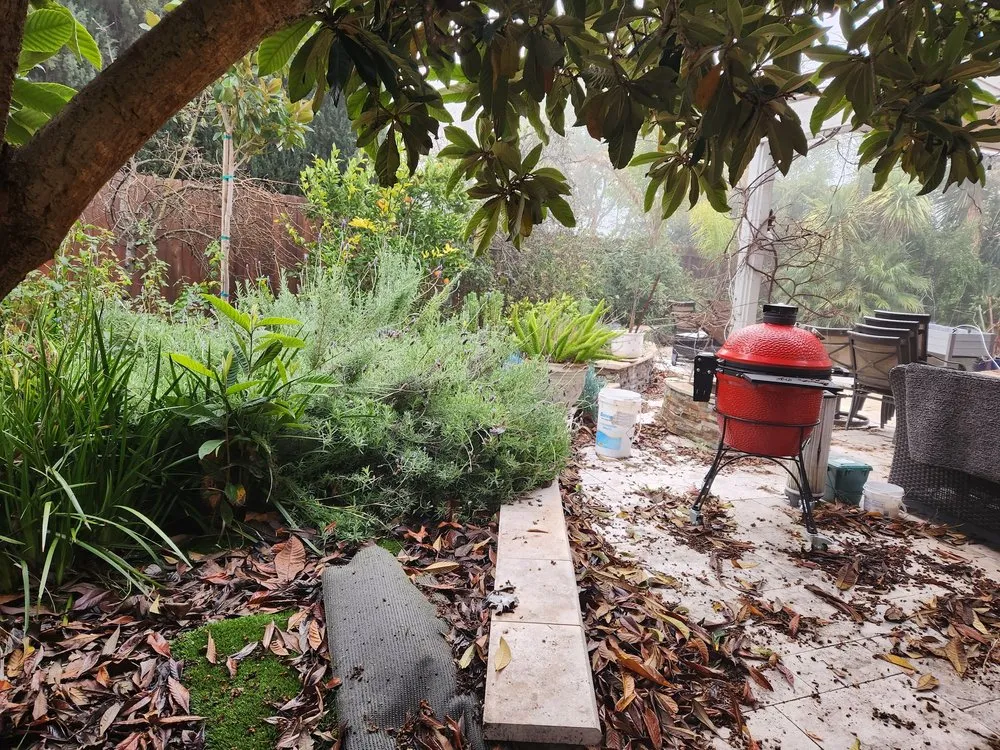 Affordable landscaping services in Antioch, CA by Tino´s Landscape & Garden