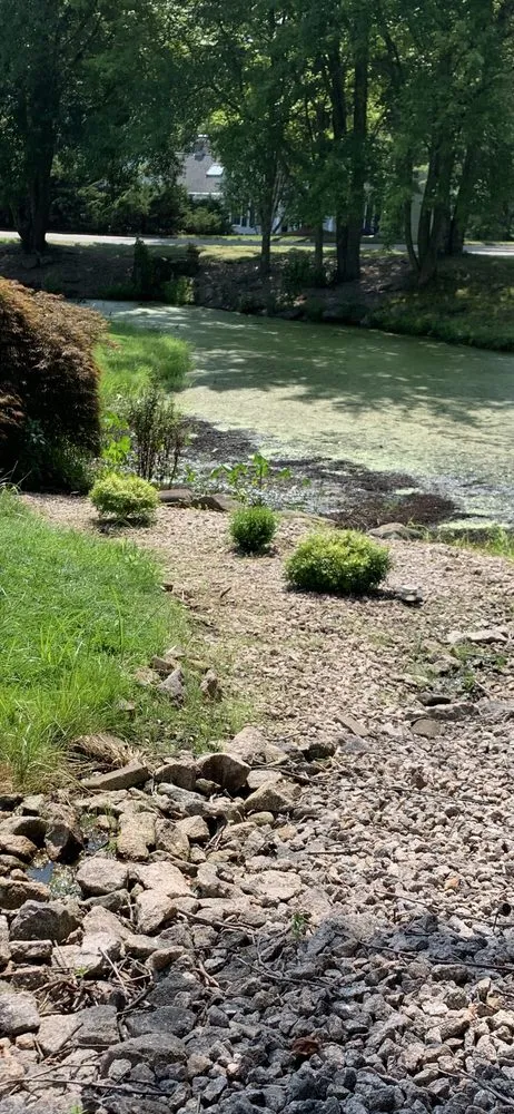 Expert yard cleanup service experts serving East Haven, CT - Tinos Landscaping