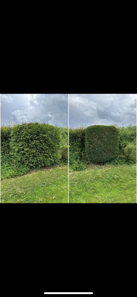 Professional yard cleanup service in East Haven, CT - Tinos Landscaping