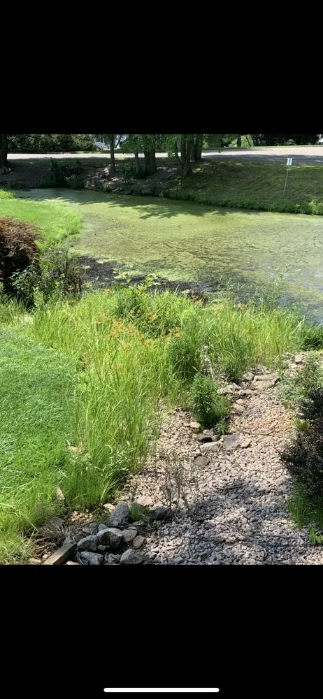 Professional garden landscaping in East Haven, CT by Tinos Landscaping