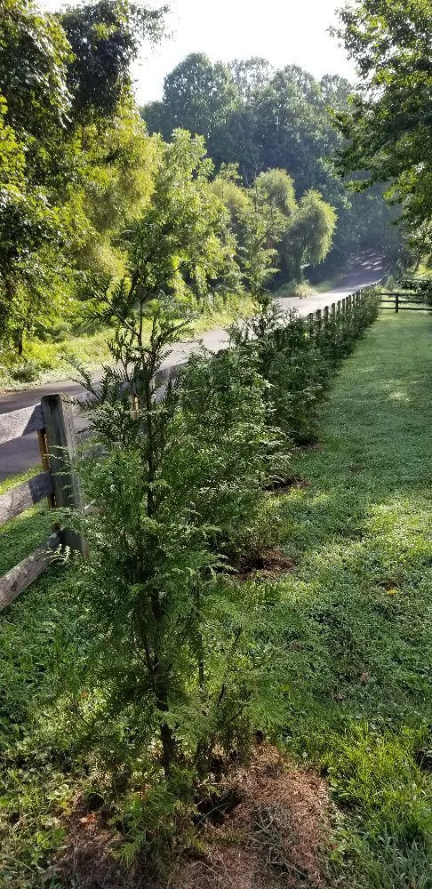 Custom landscape design in Purcellville, VA by Tino’s Landscaping