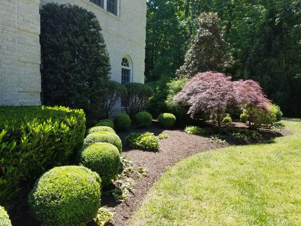Reliable lawn care service in Purcellville, VA by Tino’s Landscaping