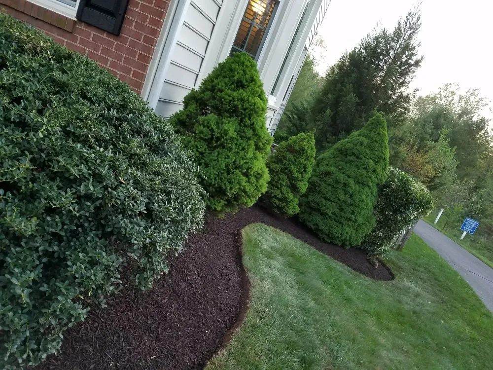 Affordable yard maintenance in Purcellville, VA - Tino’s Landscaping