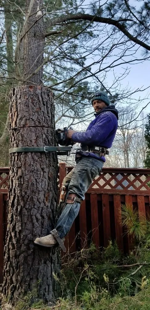 Custom garden landscaping in Purcellville, VA by Tino’s Landscaping