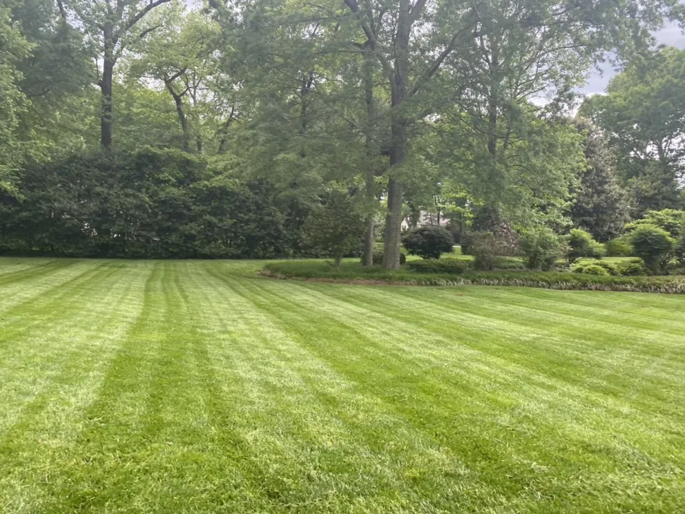 Trusted landscape design in Duncan, SC - Tinos Lawn And Irrigation