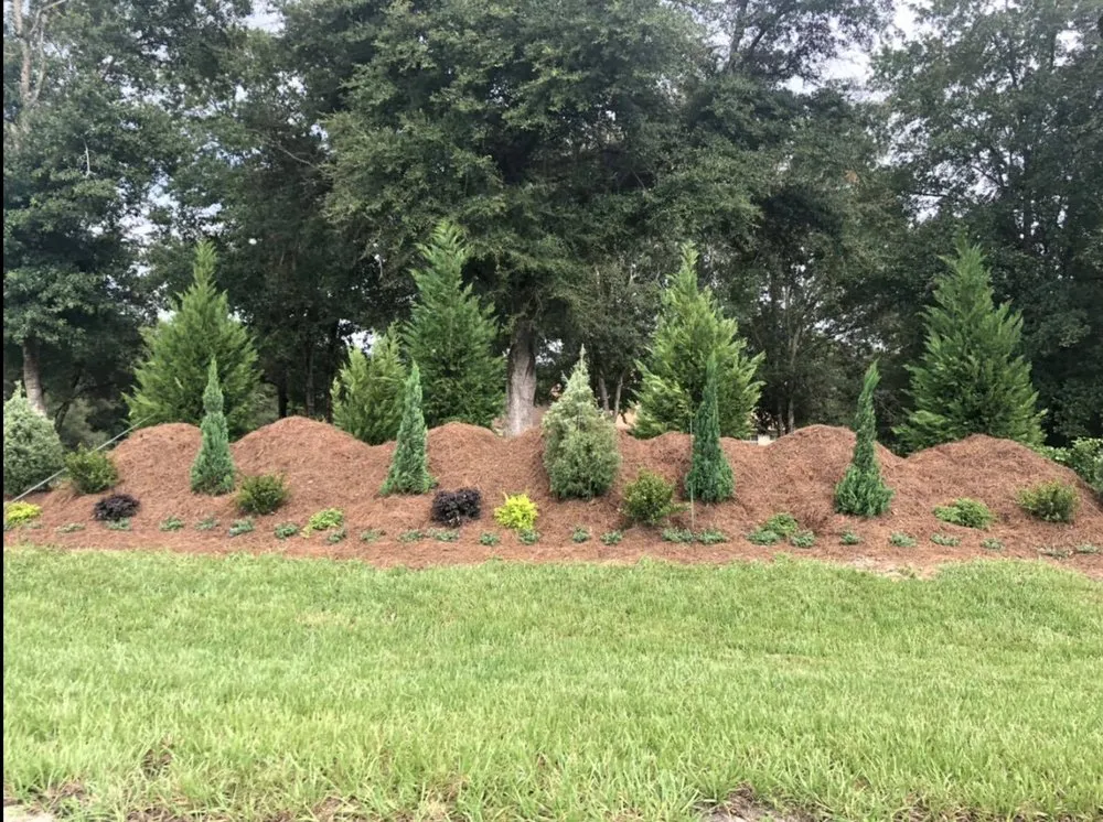 Trusted yard maintenance in Starke, FL - Tinsler Landscaping Services