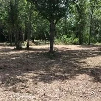 Top-rated yard maintenance near you across Starke, FL - Tinsler Landscaping Services