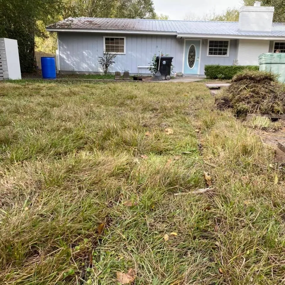 Top-rated garden landscaping in Starke, FL - Tinsler Landscaping Services