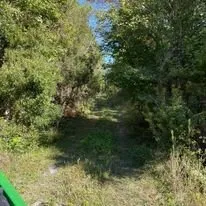 Expert landscape design for year-round maintenance in Starke, FL by Tinsler Landscaping Services