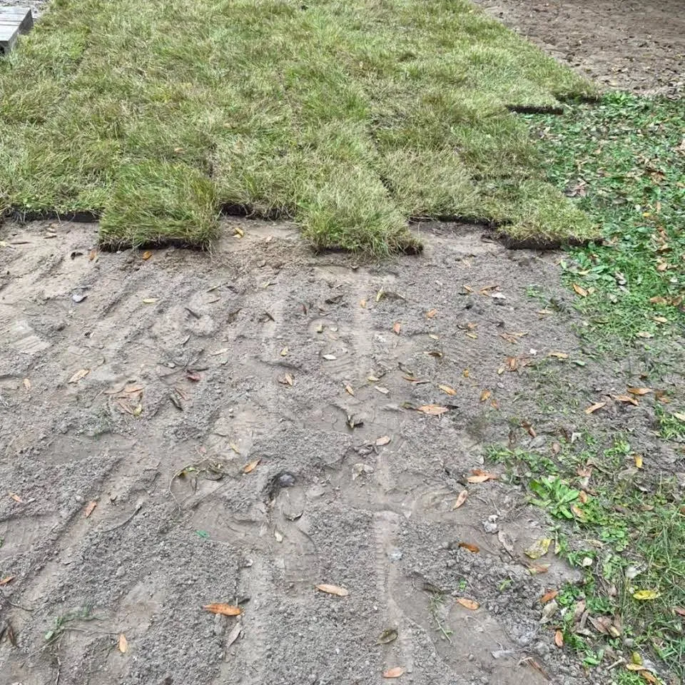 Affordable lawn mowing service near you in Starke, FL by Tinsler Landscaping Services