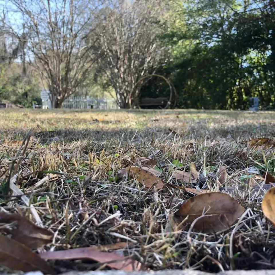 Trusted lawn mowing service for year-round maintenance in Starke, FL by Tinsler Landscaping Services