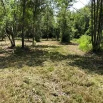 Expert lawn care service for residential properties in Starke, FL by Tinsler Landscaping Services