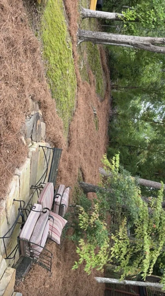 Local landscape design experts serving Pickens, SC - Tinsleys Landscaping Services