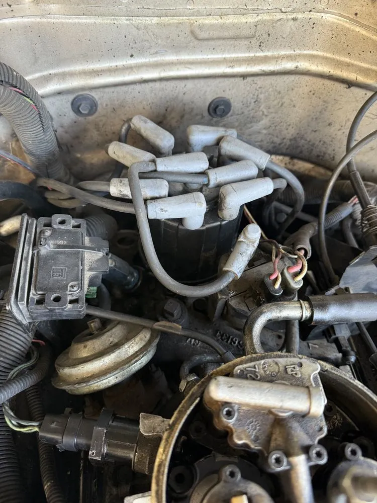 Affordable lawn mowing service for residential properties across Vancouver, WA - Tiny An Mighty