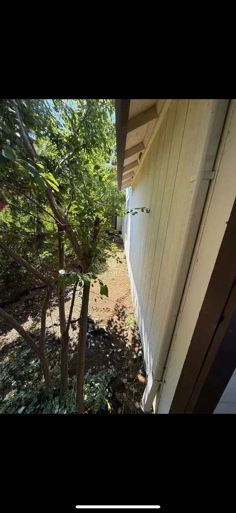 Affordable lawn mowing service in Vancouver, WA - Tiny An Mighty