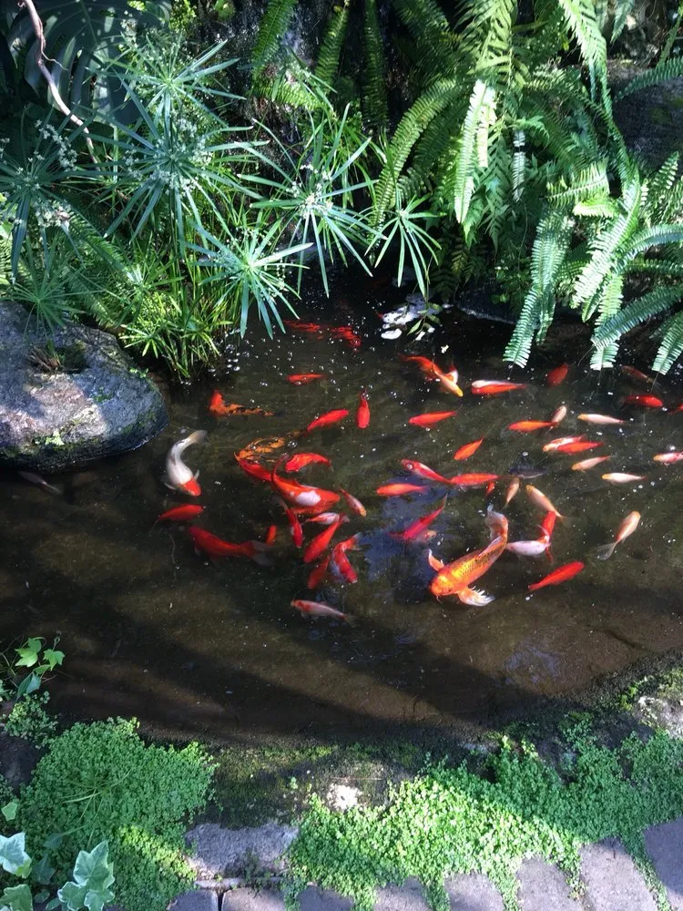 Top-rated lawn mowing service with custom design in Owego, NY by Tioga Gardens