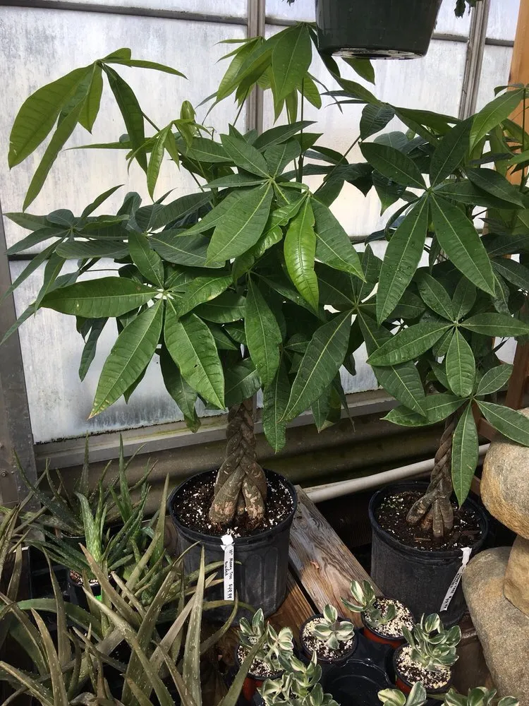 Custom yard maintenance in Owego, NY - Tioga Gardens