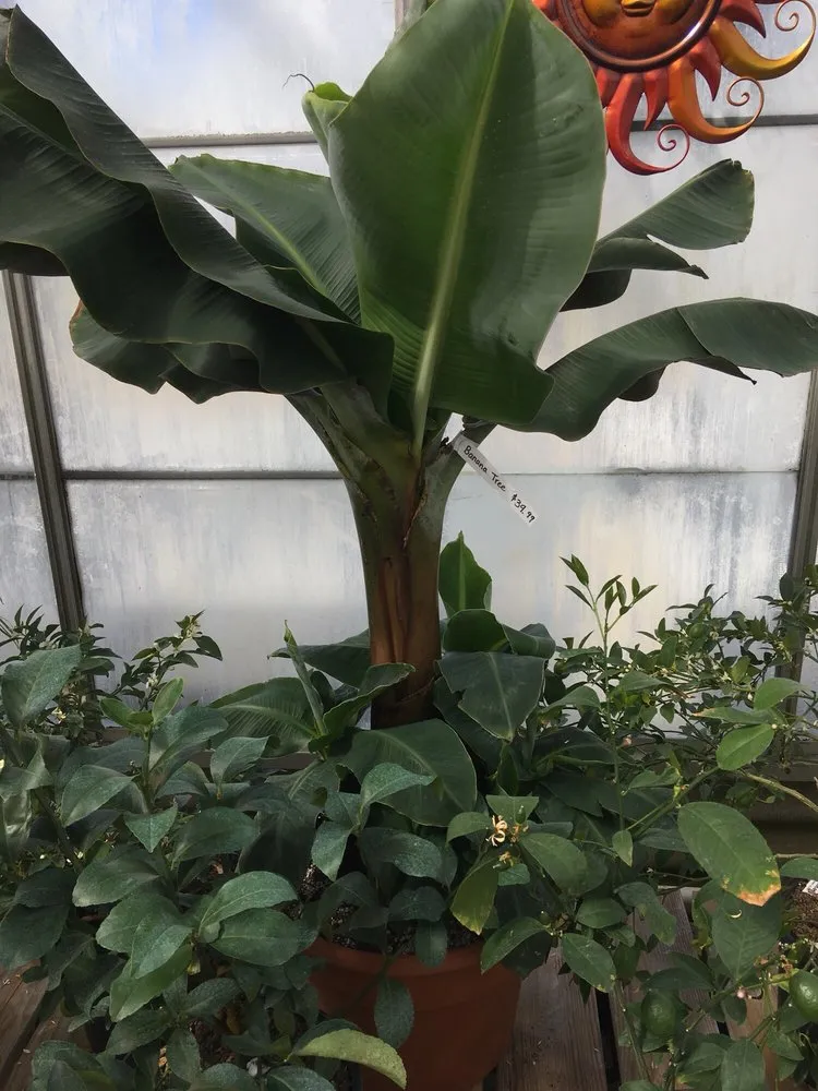 Top-rated landscape design near you in Owego, NY by Tioga Gardens