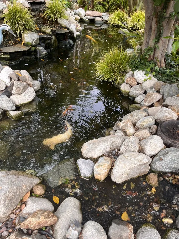 Expert landscaping services experts serving Fontana, CA - Tiori’s Landscape Services