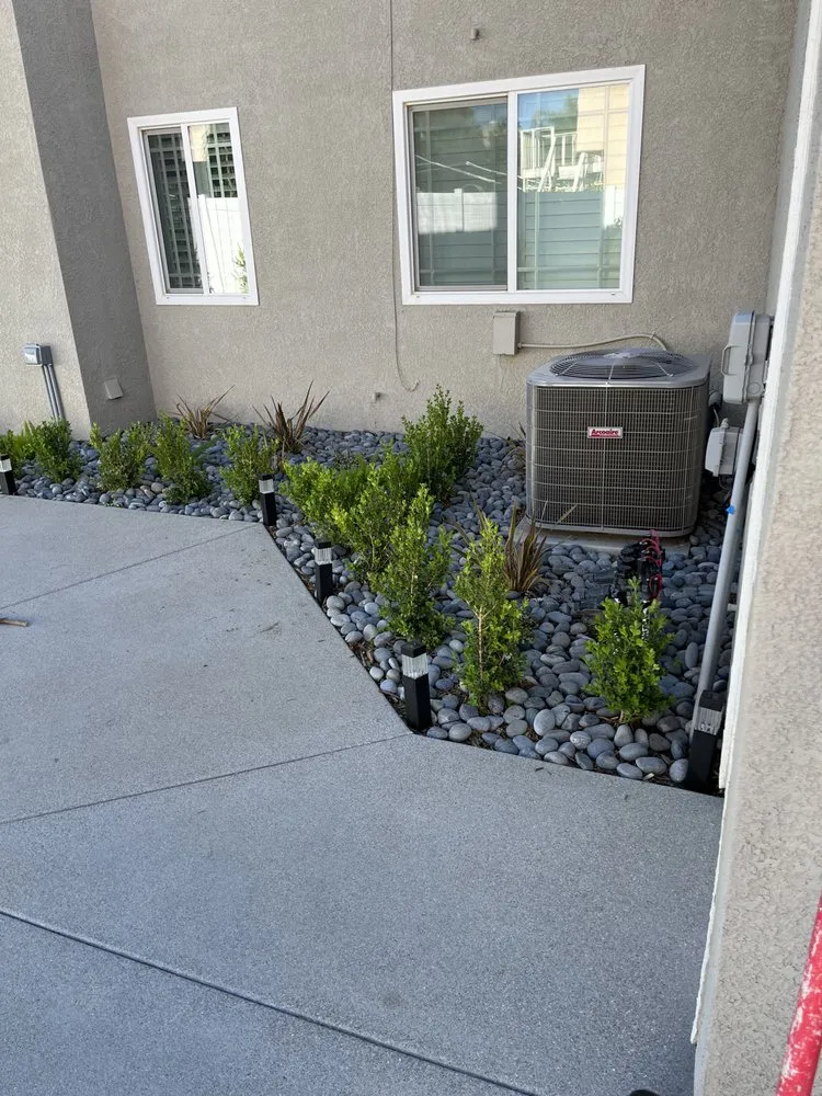 Local yard cleanup service for year-round maintenance in Fontana, CA by Tiori’s Landscape Services