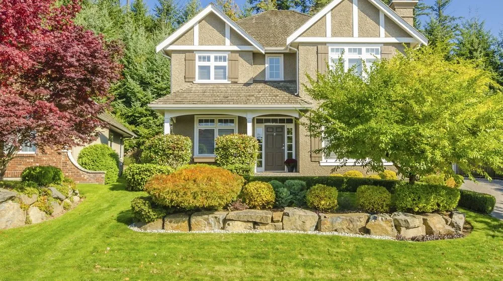 Affordable yard cleanup service for residential properties across Memphis, TN - Tio's Lawn Service