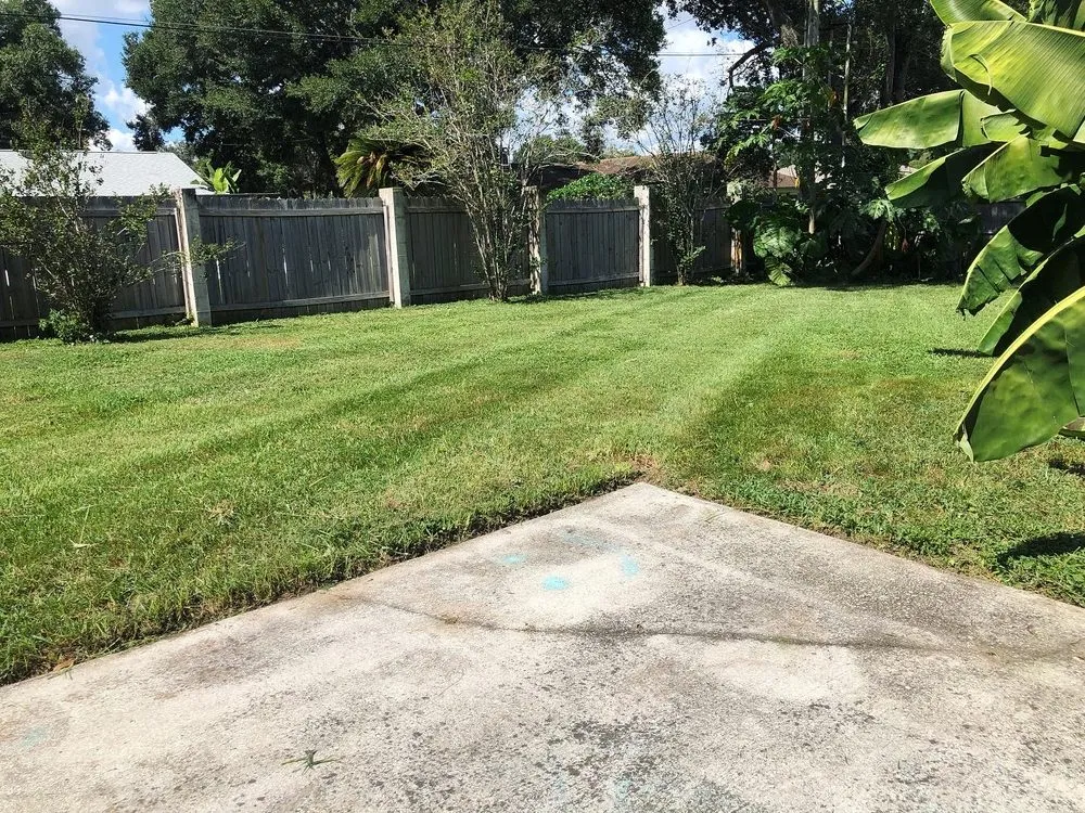 Expert yard cleanup service experts serving Plant City, FL - Tip Of The Spear Lawn Care
