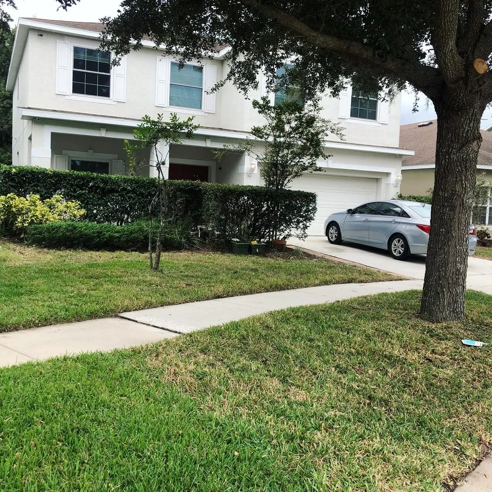 Custom lawn care service for homes in Plant City, FL by Tip Of The Spear Lawn Care