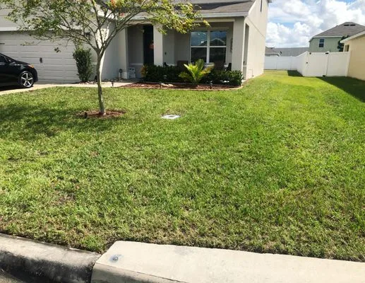 Tip Of The Spear Lawn Care Logo