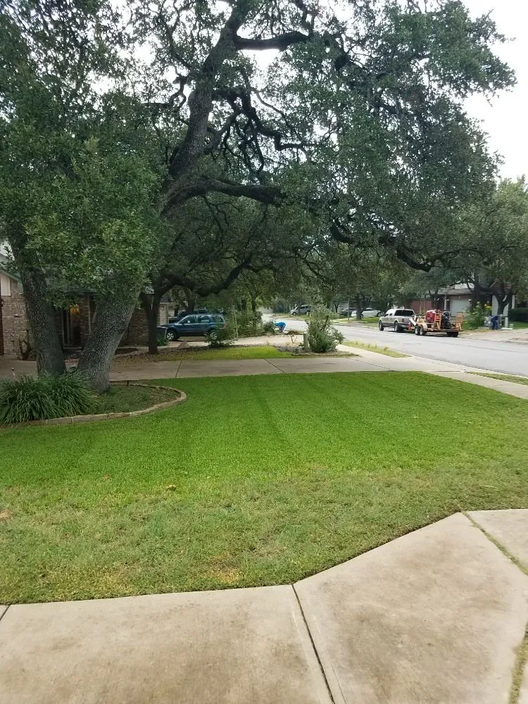Reliable residential landscaping for year-round maintenance in Georgetown, TX by Tip Top Landscape
