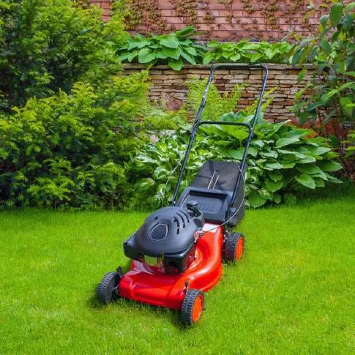 Reliable yard cleanup service in Malaga, WA - Tip Top Landscaping