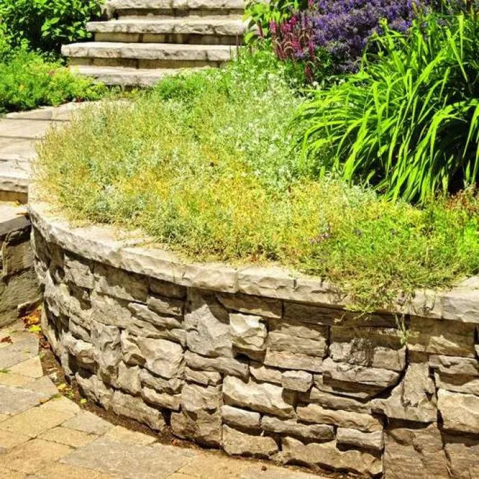 Top-rated residential landscaping in Malaga, WA by Tip Top Landscaping