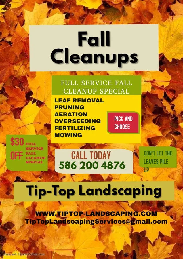 Reliable yard cleanup service in Sterling Heights, MI by Tip-Top Landscaping