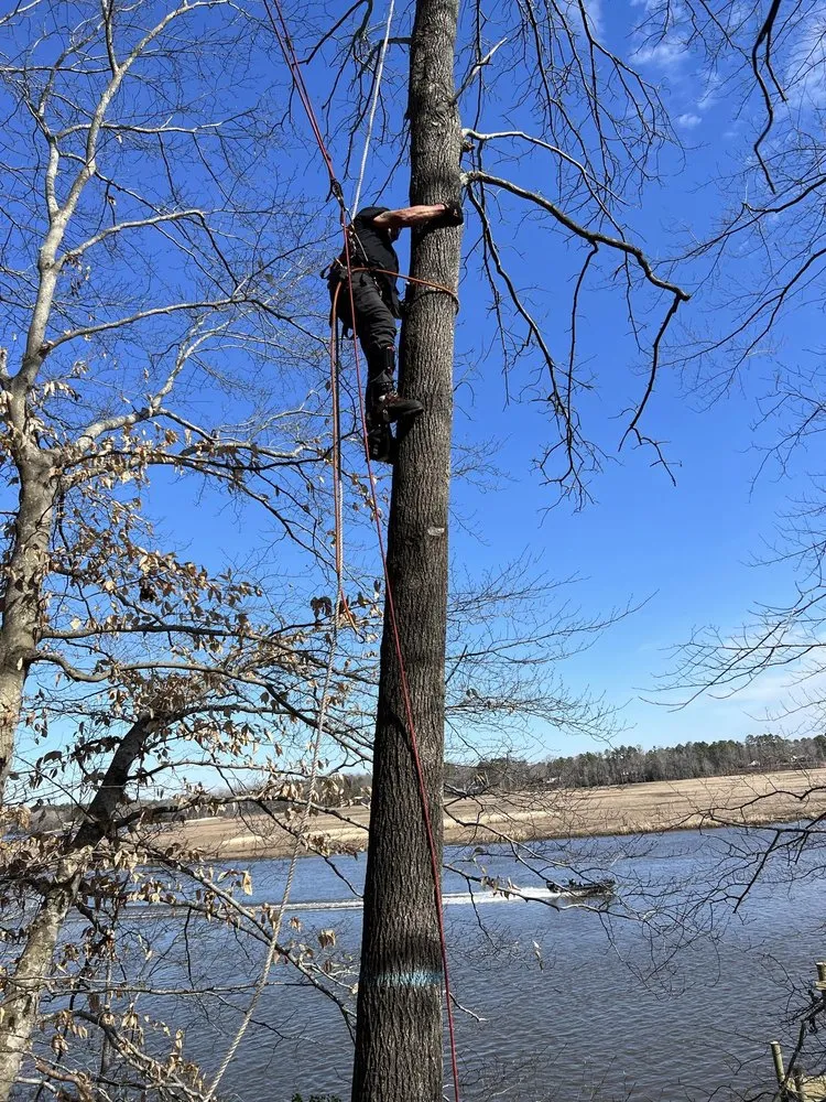 Professional landscape design in Hanover, VA - Tip Top Lawn and Tree