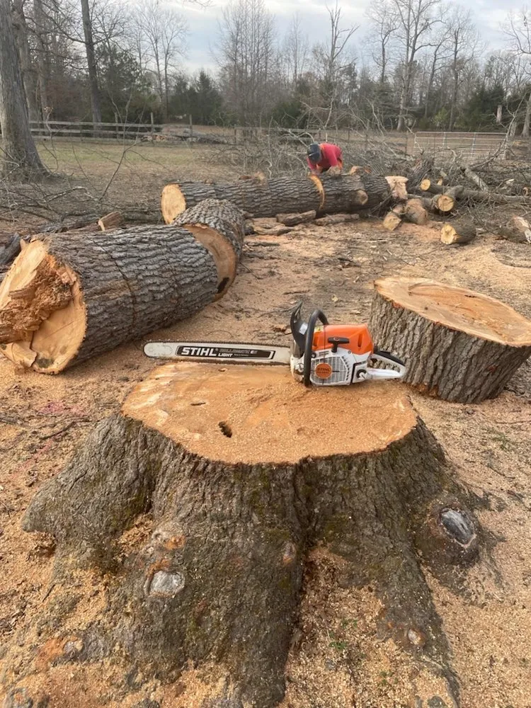 Expert residential landscaping with custom design in Hanover, VA by Tip Top Lawn and Tree