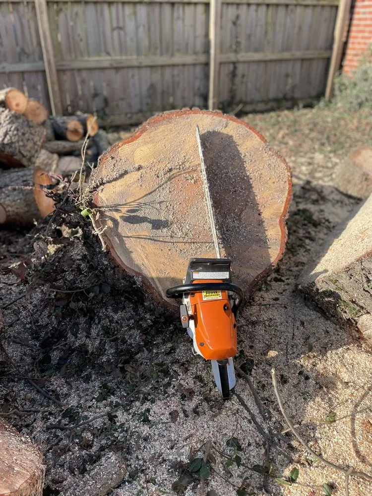 Custom lawn care service for outdoor upgrades in Hanover, VA by Tip Top Lawn and Tree