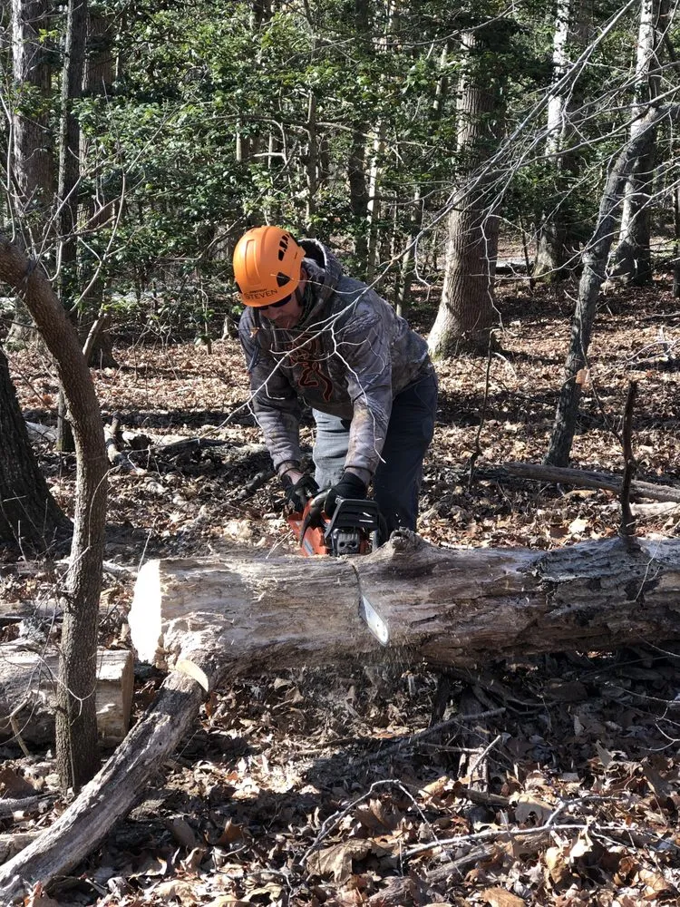 Local lawn care service in Hanover, VA - Tip Top Lawn and Tree