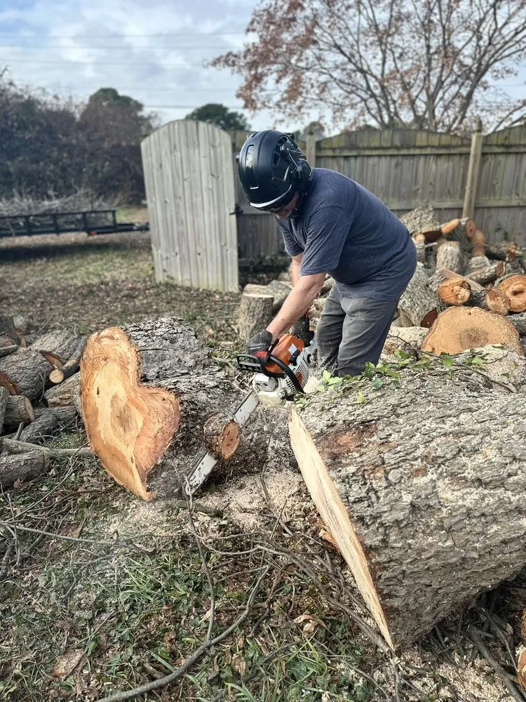 Professional yard cleanup service experts serving Hanover, VA - Tip Top Lawn and Tree