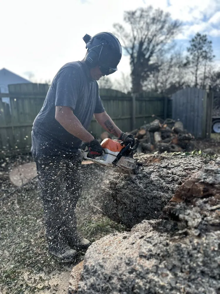 Expert landscape installation in Hanover, VA by Tip Top Lawn and Tree