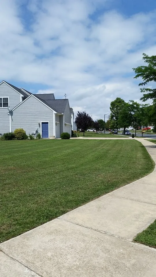 Professional lawn mowing service in Easton, MD - Tip Top Lawn Care