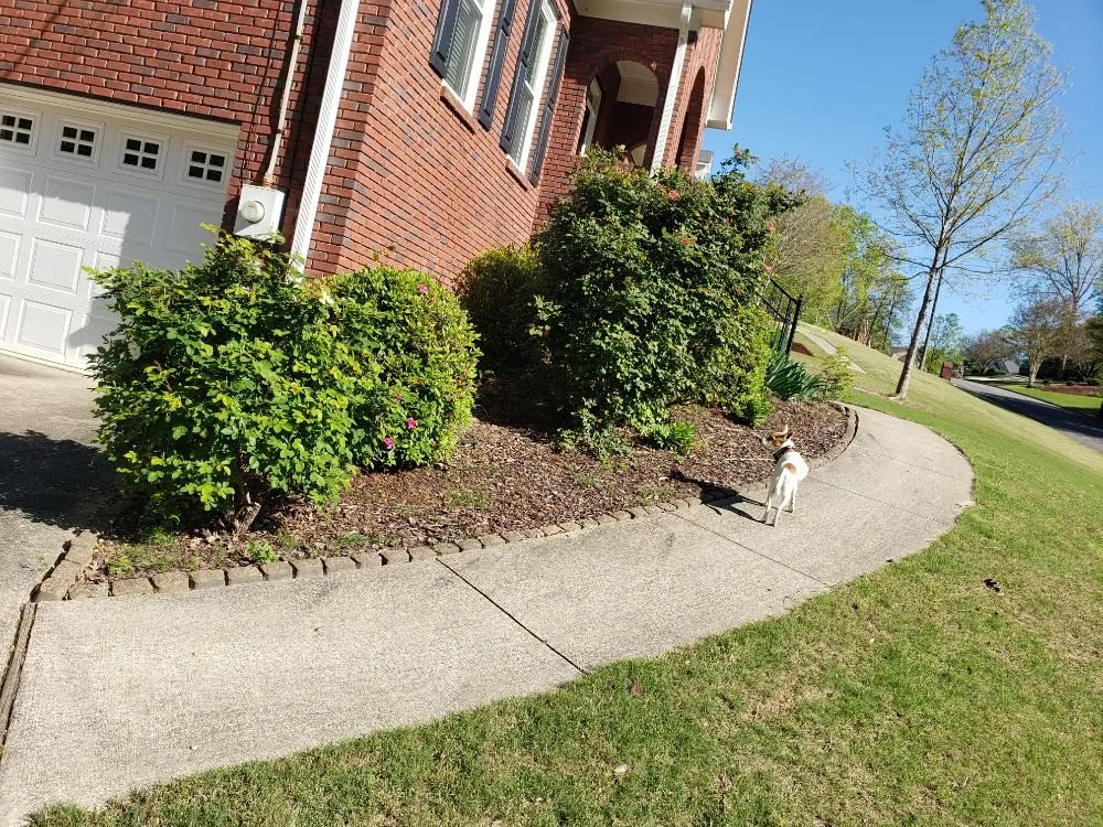 Top-rated residential landscaping near you in Trussville, AL by Tip-Top Lawn Service