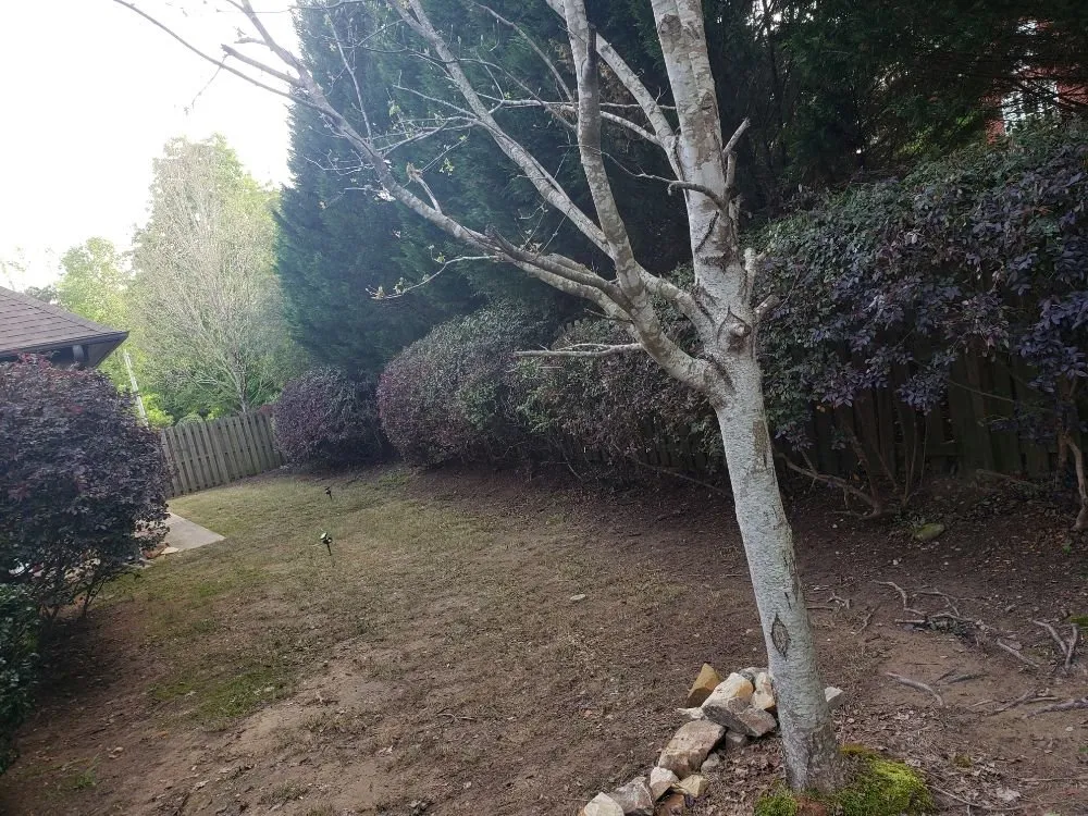 Local outdoor landscaping for residential properties across Trussville, AL - Tip-Top Lawn Service