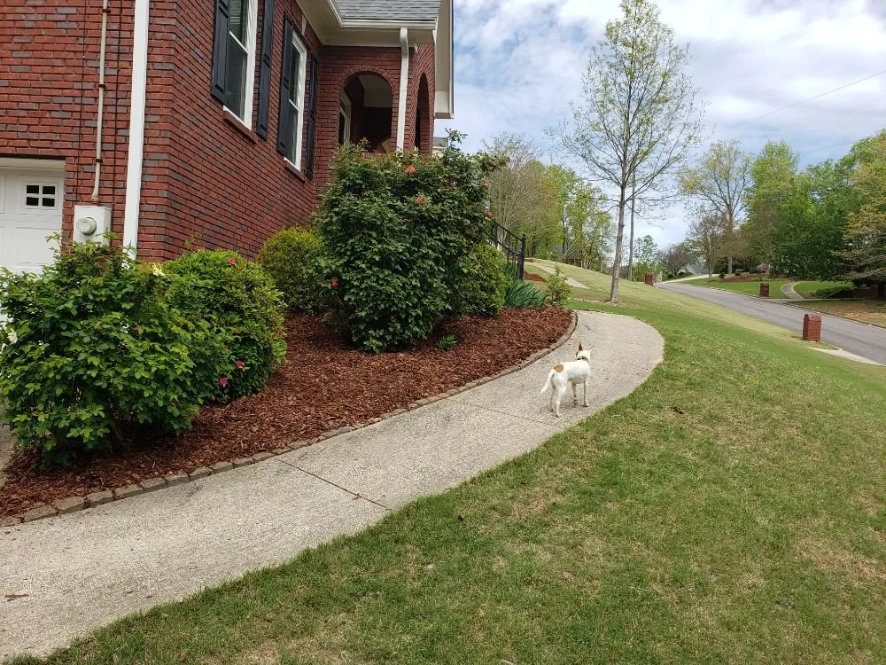 Reliable landscaping services experts serving Trussville, AL - Tip-Top Lawn Service