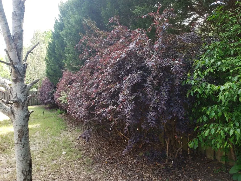 Custom landscape design for beautiful yards in Trussville, AL by Tip-Top Lawn Service