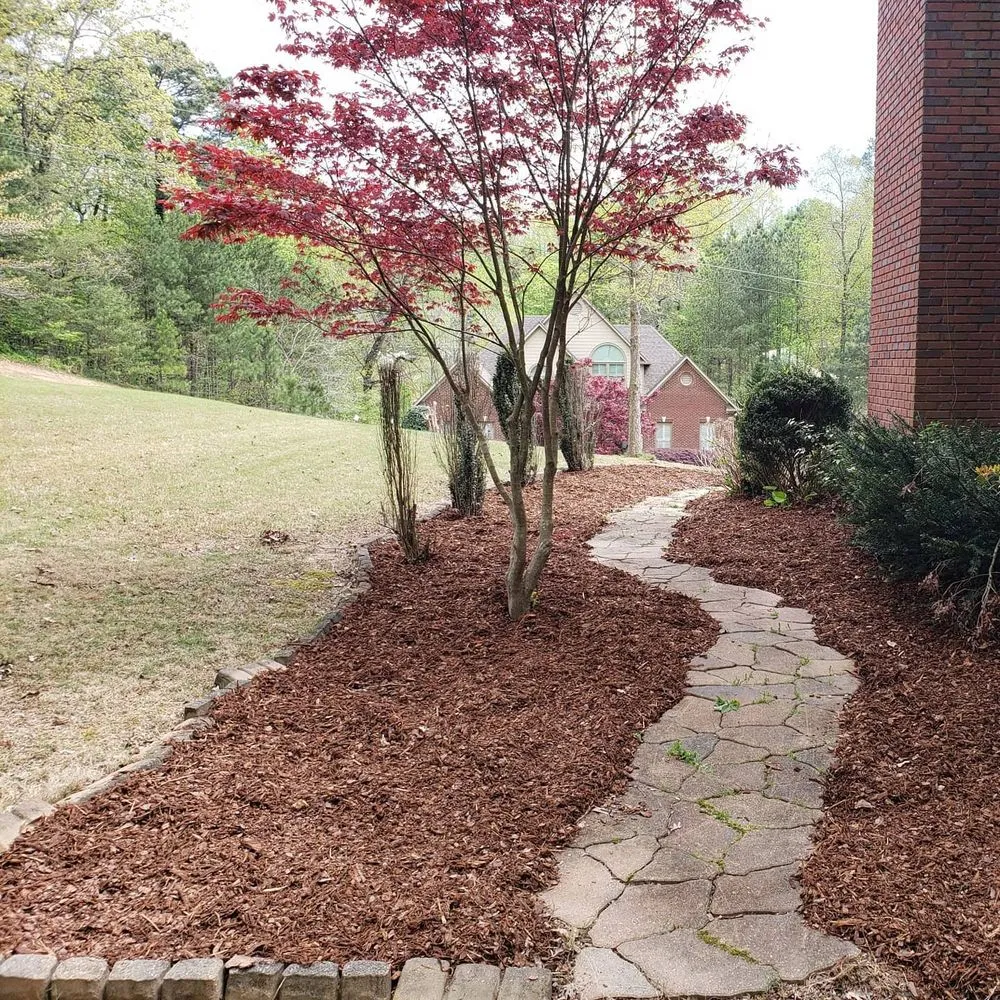Professional yard cleanup service in Trussville, AL - Tip-Top Lawn Service