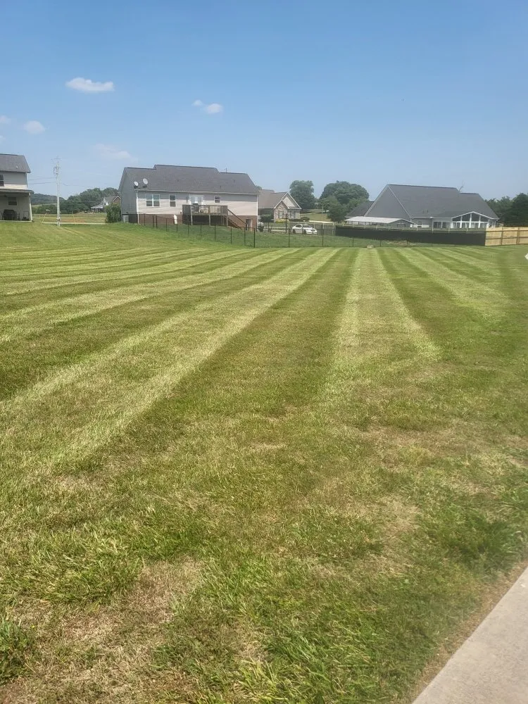 Trusted landscape design near you in Morristown, TN by Tip Top Lawns And Landscaping