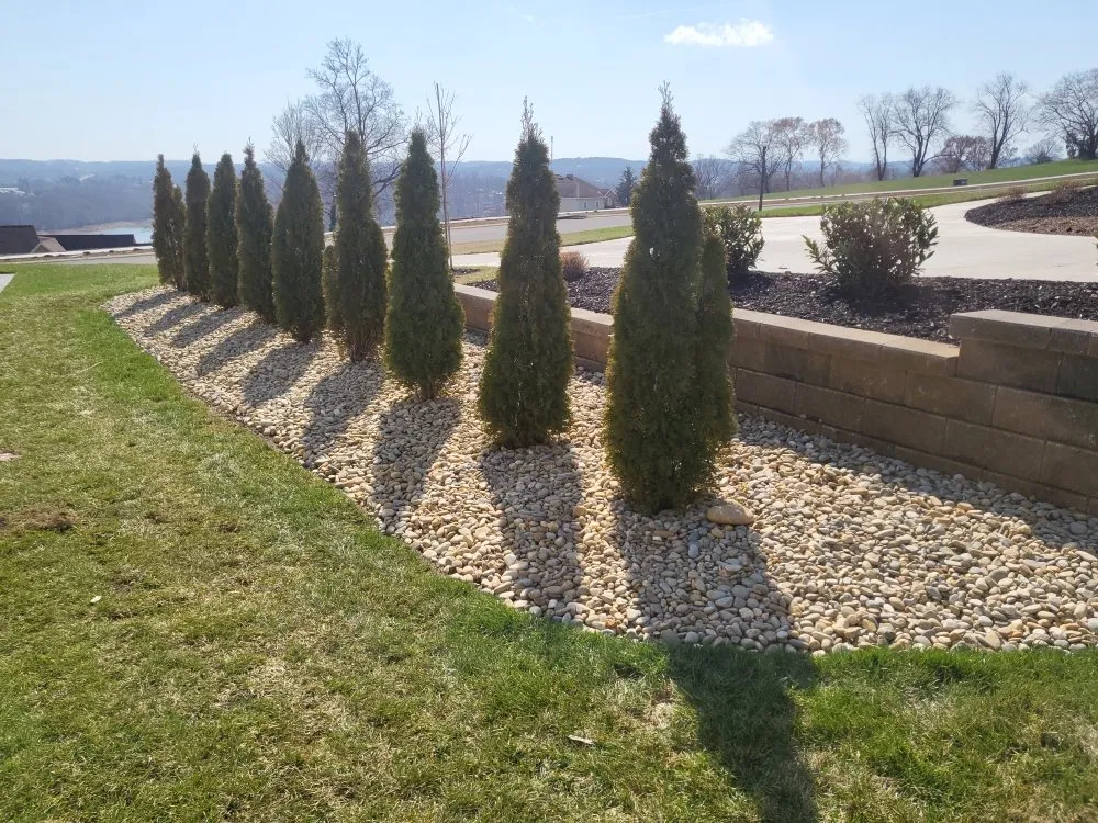 Affordable yard maintenance for homes across Morristown, TN - Tip Top Lawns And Landscaping