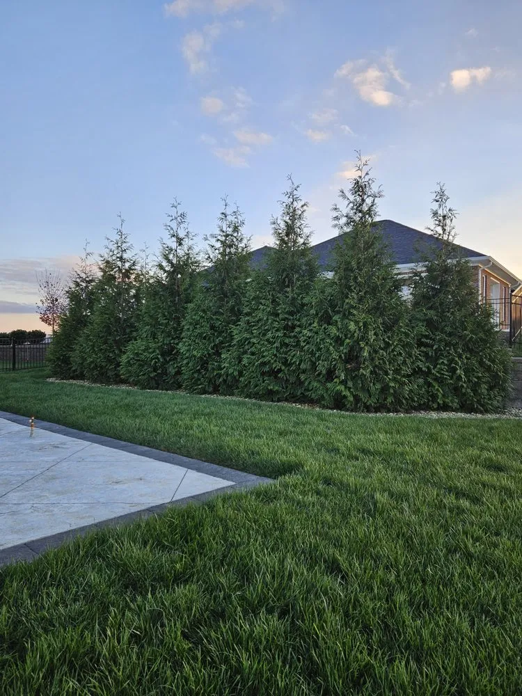Affordable landscaping services in Morristown, TN - Tip Top Lawns And Landscaping