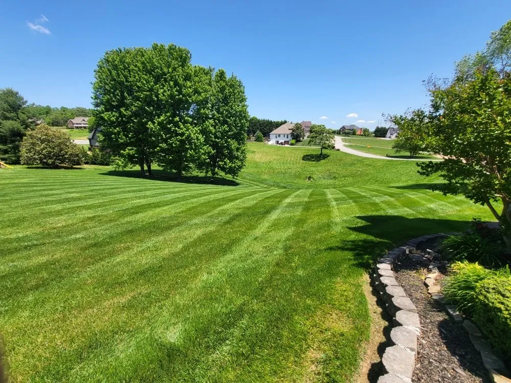 Custom yard cleanup service for residential properties across Morristown, TN - Tip Top Lawns And Landscaping